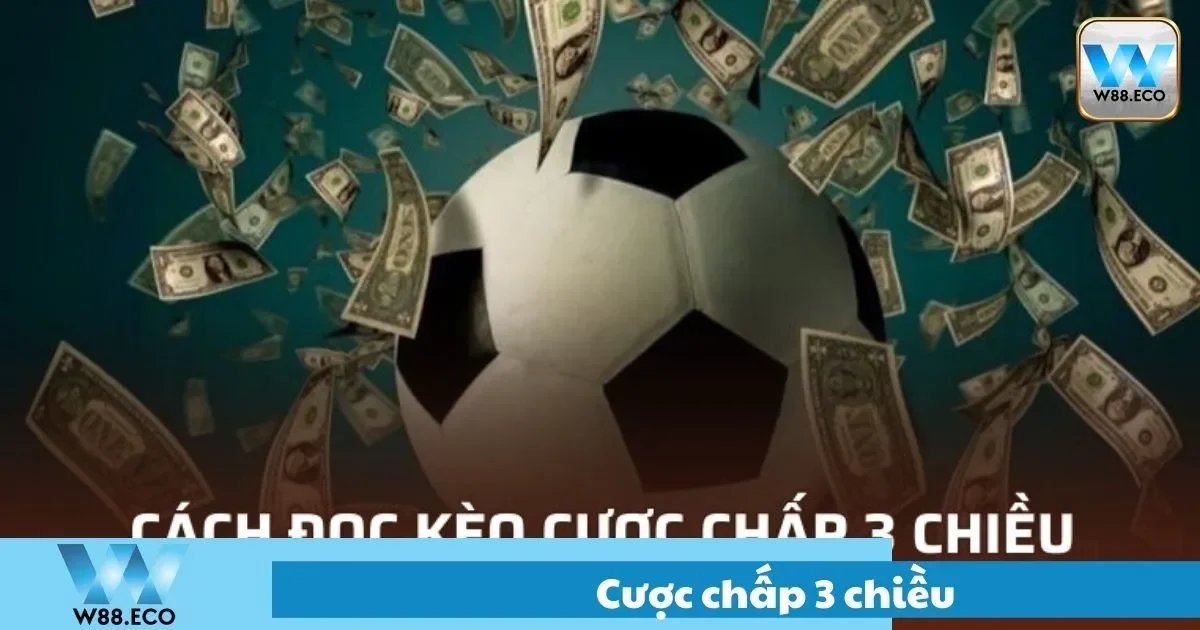 Cược Chấp 3 Chiều Là Gì? Trải Nghiệm Cách Chơi Tại W8 1 Cược Chấp 3 Chiều Là Gì? Trải Nghiệm Cách Chơi Tại W8