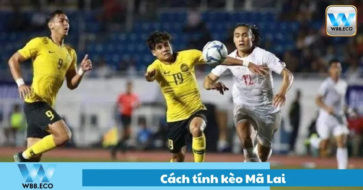 Hướng Dẫn Cách Tính Kèo Mã Lai Chuẩn Xác Nhất Tại W88 1 Cách tính kèo mã lai chuẩn xác